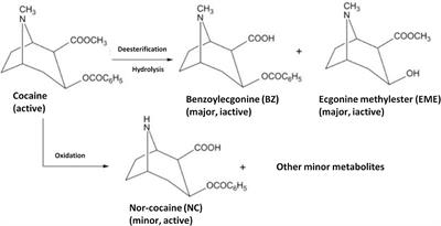 Tackling the Problem of Sensing Commonly Abused Drugs Through Nanomaterials and (Bio)Recognition Approaches